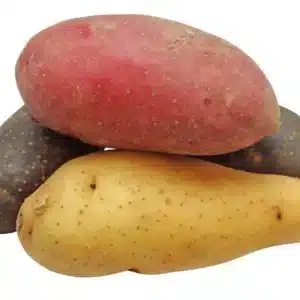 patate 4