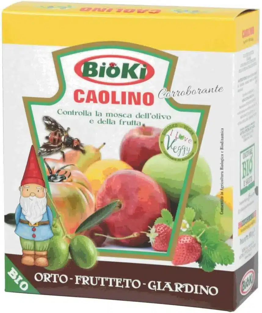 Peronospora del pomodoro. 2 tecniche per prevenirla! 7 caolino per la prevenzione della peronospora del pomodoro