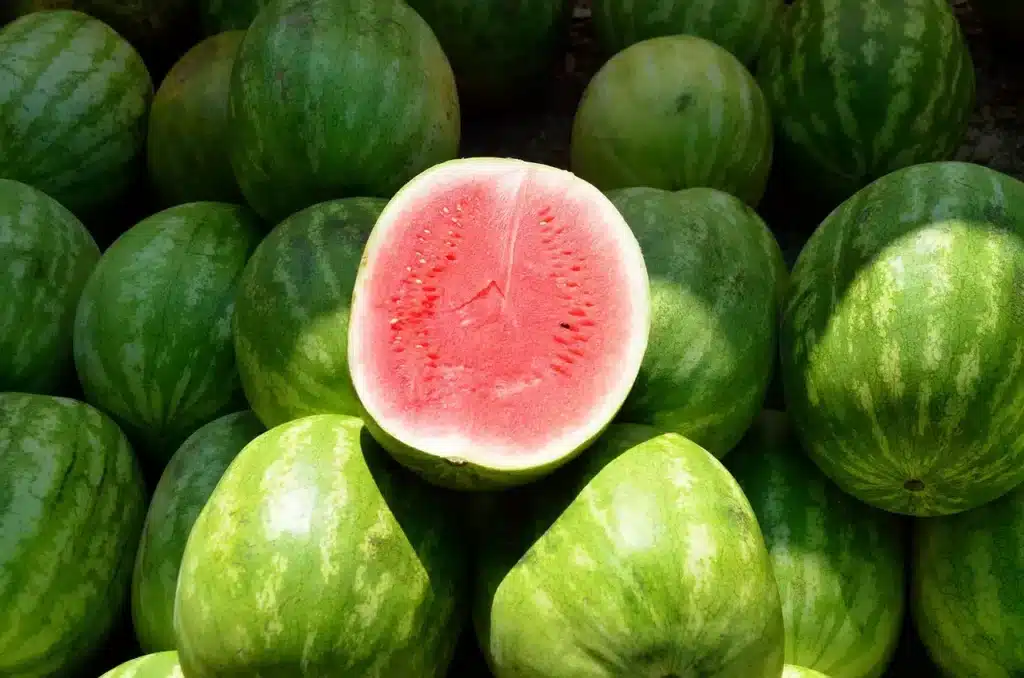 Come coltivare l’anguria: 5 consigli utili! 6 Come coltivare l'anguria