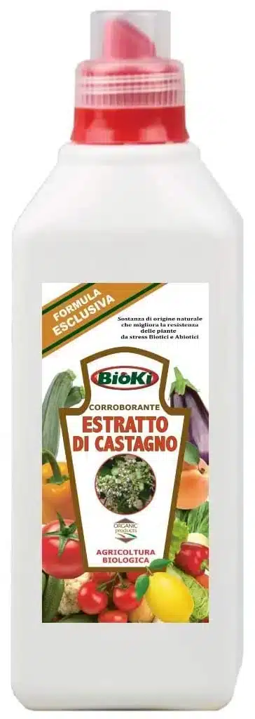Peronospora del pomodoro. 2 tecniche per prevenirla! 5 estratto di castagno per la prevenzione della peronospora del pomodoro