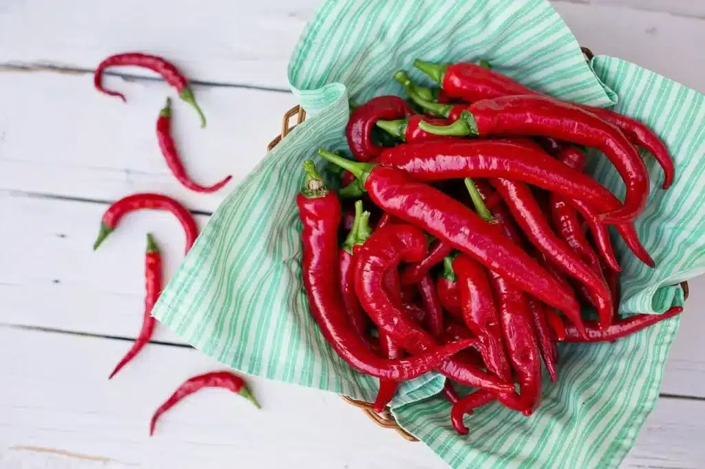 Come coltivare i peperoncini piccanti 1 Come coltivare i peperoncini piccanti