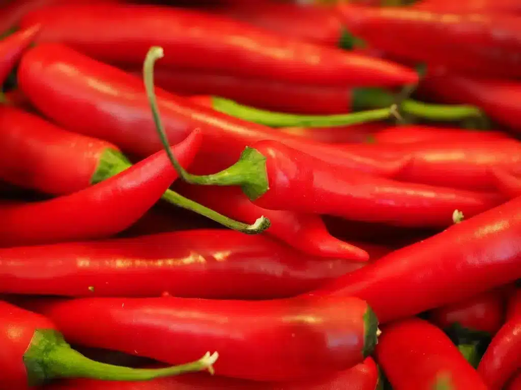 Come coltivare i peperoncini piccanti 3 Come coltivare i peperoncini piccanti