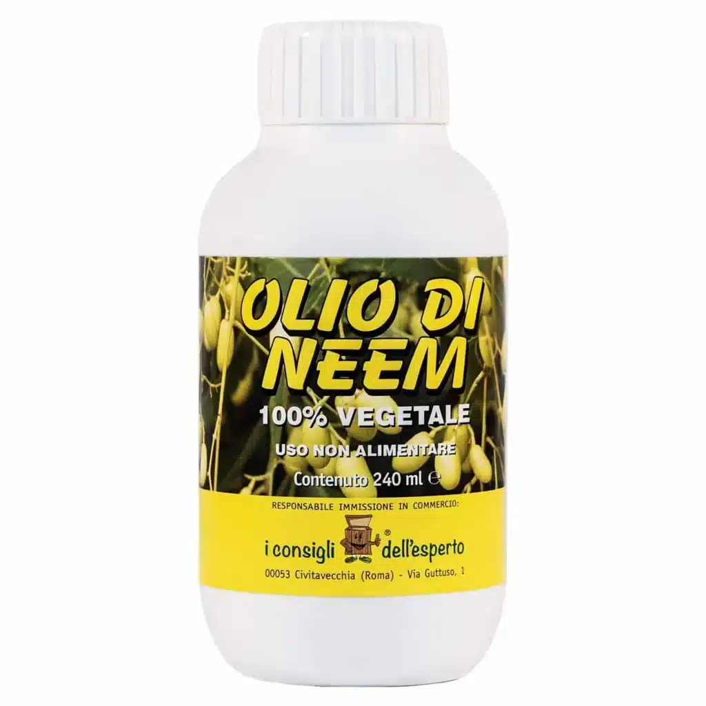 Come prevenire le cimici sui pomodori 6 Olio di Neem per gli afidi e la cocciniglia 1