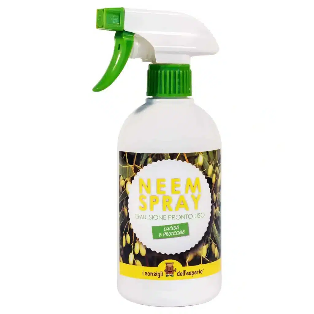 Stop ai parassiti dell'orto! Ricette e consigli per preparare macerati contro gli insetti dannosi! 9 Olio di Neem pronto all'uso