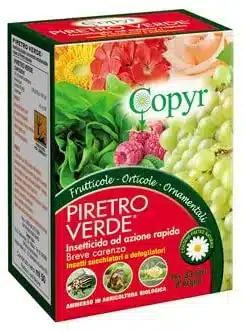 Stop ai parassiti dell'orto! Ricette e consigli per preparare macerati contro gli insetti dannosi! 11 Piretro 2