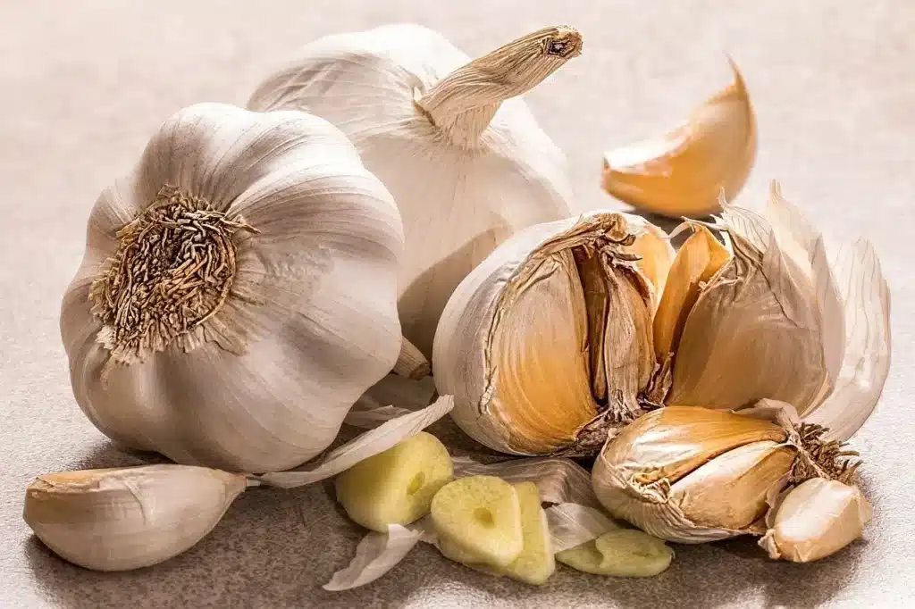 Stop ai parassiti dell'orto! Ricette e consigli per preparare macerati contro gli insetti dannosi! 4 aglio per macerato afidi
