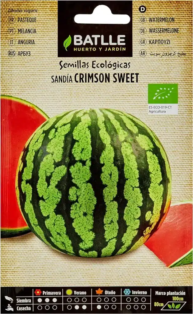 Come coltivare l’anguria: 5 consigli utili! 8 anguria Crimson Sweet.jpg