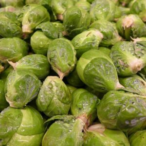 cavoletti di Bruxelles 2 1280
