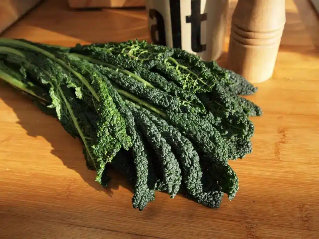 5 consigli per coltivare il cavolo nero di Toscana 7 cavolo nero di toscana 3