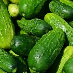 coltivare i cetrioli nellorto 6.jpg