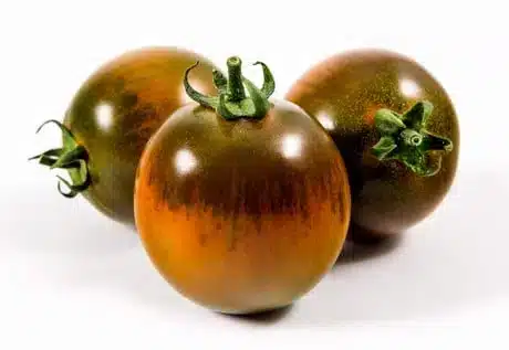 Pomodori: 9 varietà per il tuo orto 8 pomodoro il camone