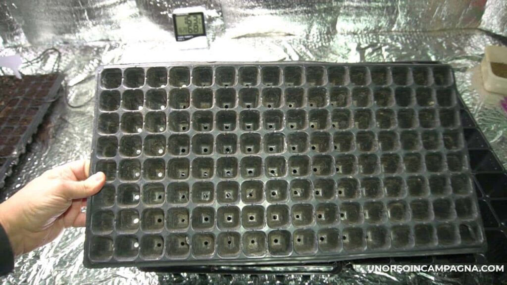 Vassoio di germinazione del semenzaio: la taglia conta! 2 Vassoio di germinazione del semenzaio - vassoio da 128 alveoli