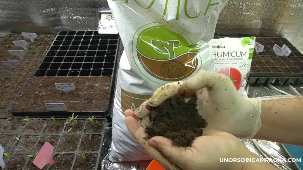 Come ottenere un orto da favola con l'humus di lombrico 10 Aurum semenzaio.jpg