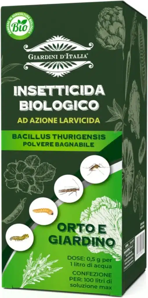 Bacillus thuringiensis. Addio cavolaia! 7 Bacillus Thuringiensis varieta Kurstaki.jpg
