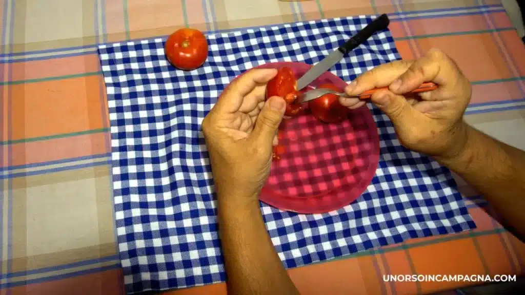 Come conservare i semi di Pomodoro 3 Come estrarre i semi dei pomodori 2.jpg