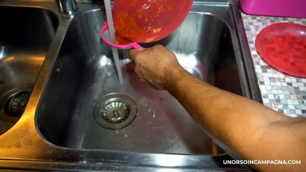 Come conservare i semi di Pomodoro 4 Come estrarre i semi dei pomodori lavaggio.jpg