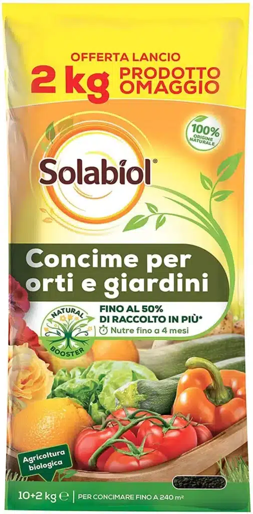 Come si coltivano i cavolfiori? Ecco 6 preziosi consigli 8 Solabiol.jpg 1