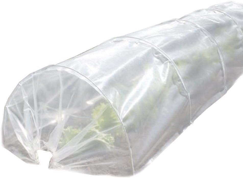 Come coltivare le zucchine. 5 consigli! 4 Tunnel per orto