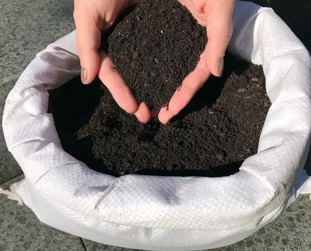 Come ottenere un orto da favola con l'humus di lombrico 1 humus 1.jpg