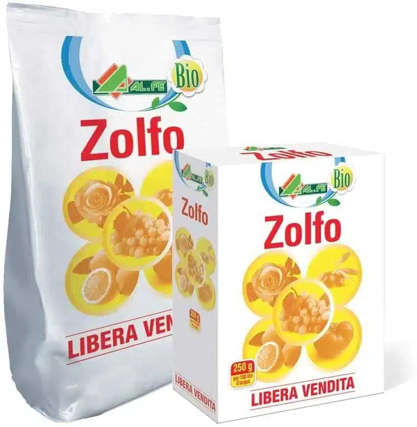 Come coltivare le zucchine. 5 consigli! 11 zolfo per oidio zucchine.jpg