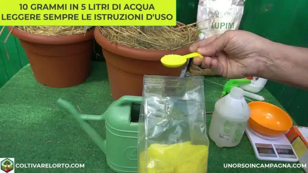 FLORTIS Energy Giallo: il concime completo per agrumi rigogliosi 2 Flortis energy giallo 3.jpg