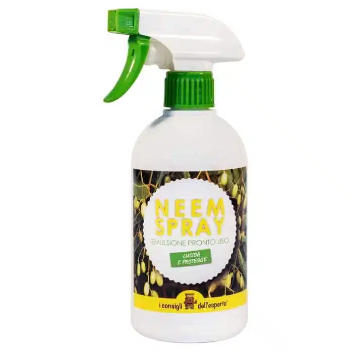 Fumaggine sugli agrumi in vaso? Eliminala subito con rimedi naturali ed economici! 9 Olio di Neem per gli afidi e la cocciniglia pronto alluso 696x696.jpg