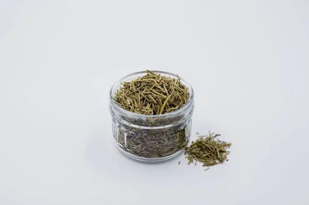 Come coltivare il rosmarino in vaso: 3 consigli! 9 coltivare il rosmarino 2.jpg