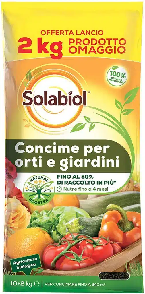 Quando trapiantare il melograno in vaso 11 Solabiol Orti e Giardini 505x1024 1.jpg