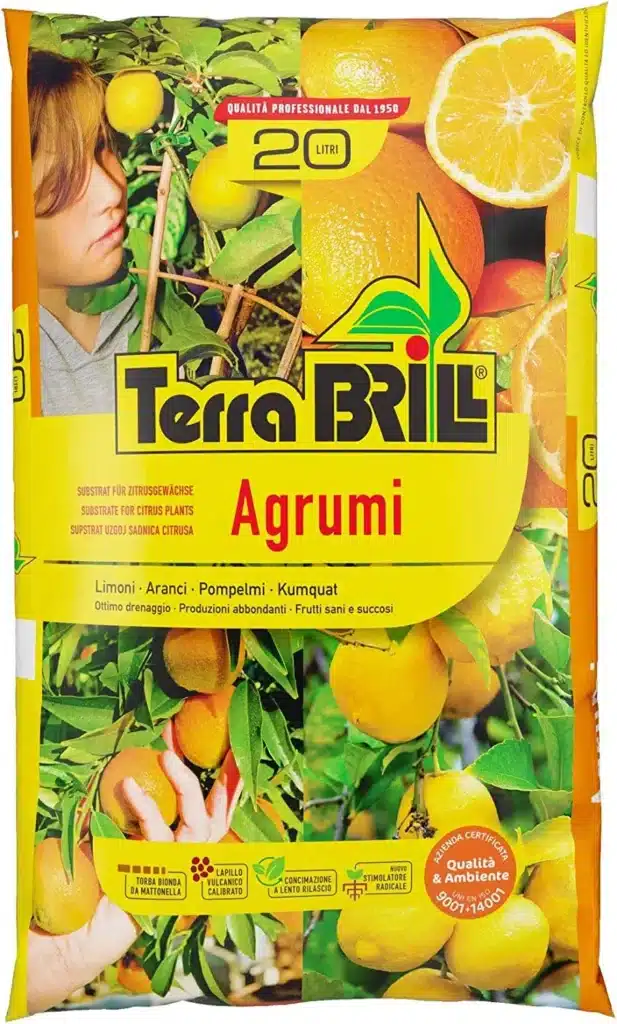 5 errori da evitare nel rinvaso degli agrumi in vaso! 3 Terriccio per agrumi Bril.jpg