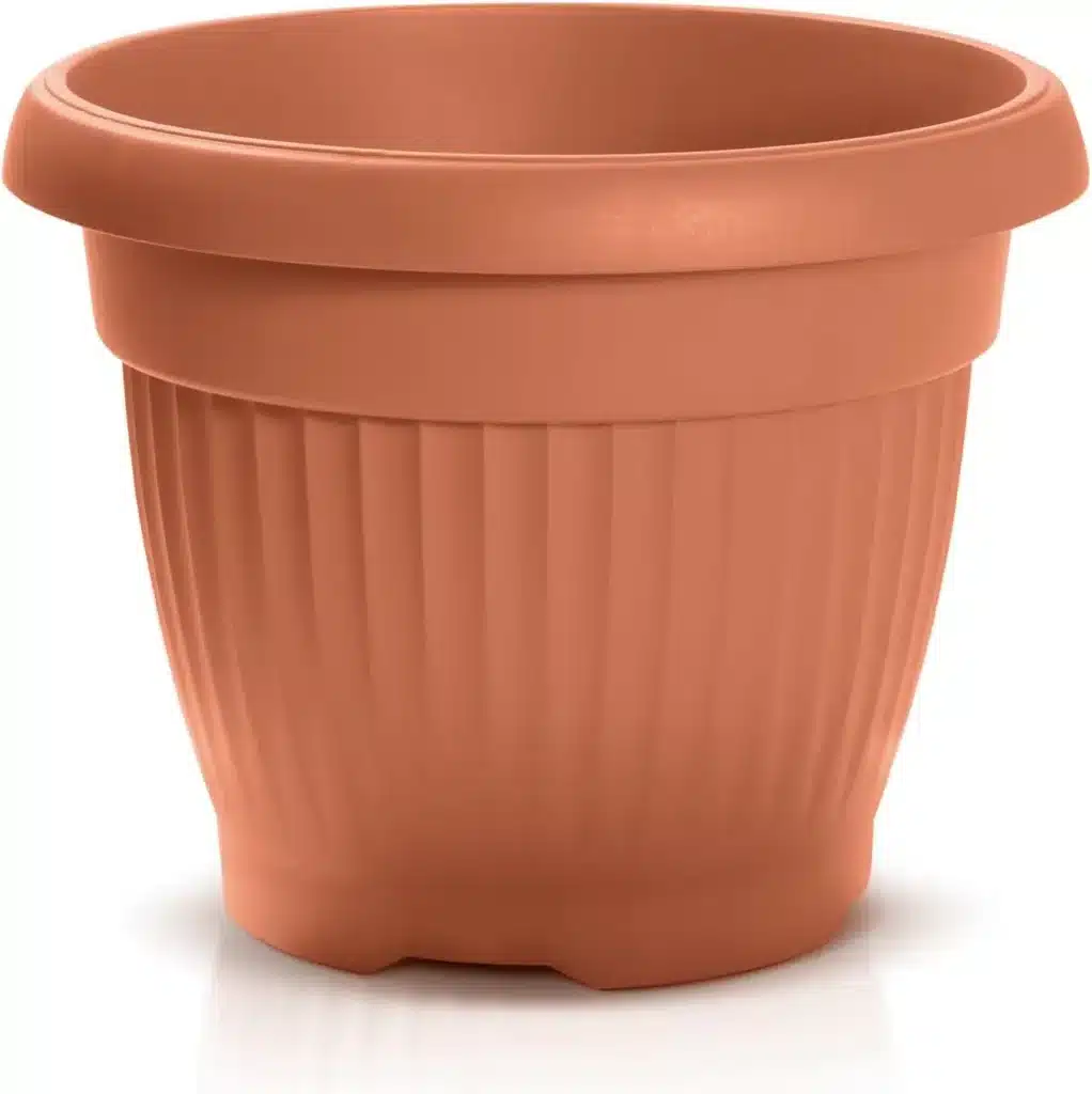 Quando trapiantare il melograno in vaso 3 vaso.jpg