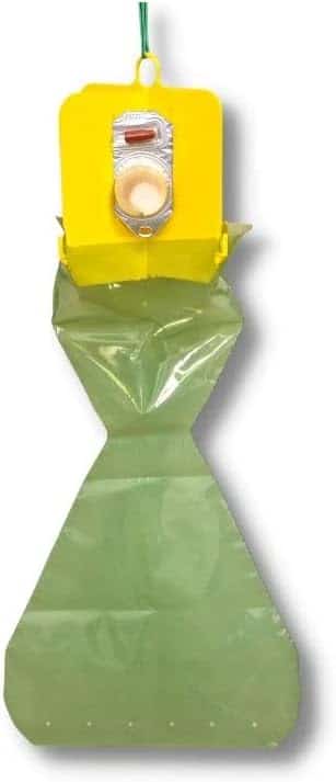 Allarme Popillia Japonica: proteggi il tuo orto ora! 4 Pherocon Popillia Trappola per Popillia japonica