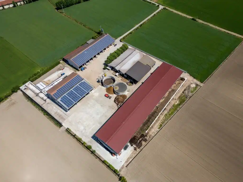 Agricoltura sostenibile: come scegliere il fertilizzante naturale 3 Agricoltura sostenibile - produzione humus di lombrico viticoltura powercompost