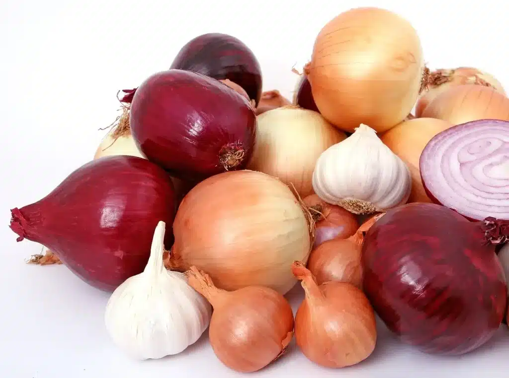 Come coltivare le cipolle nell'orto. 3 consigli! 9 Come coltivare le cipolle nell'orto 6