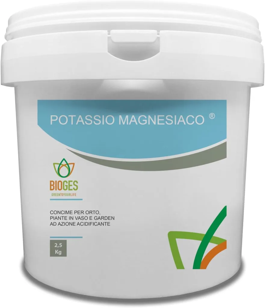 Come coltivare le cipolle nell'orto. 3 consigli! 2 concime biologico per le cipolle e patate