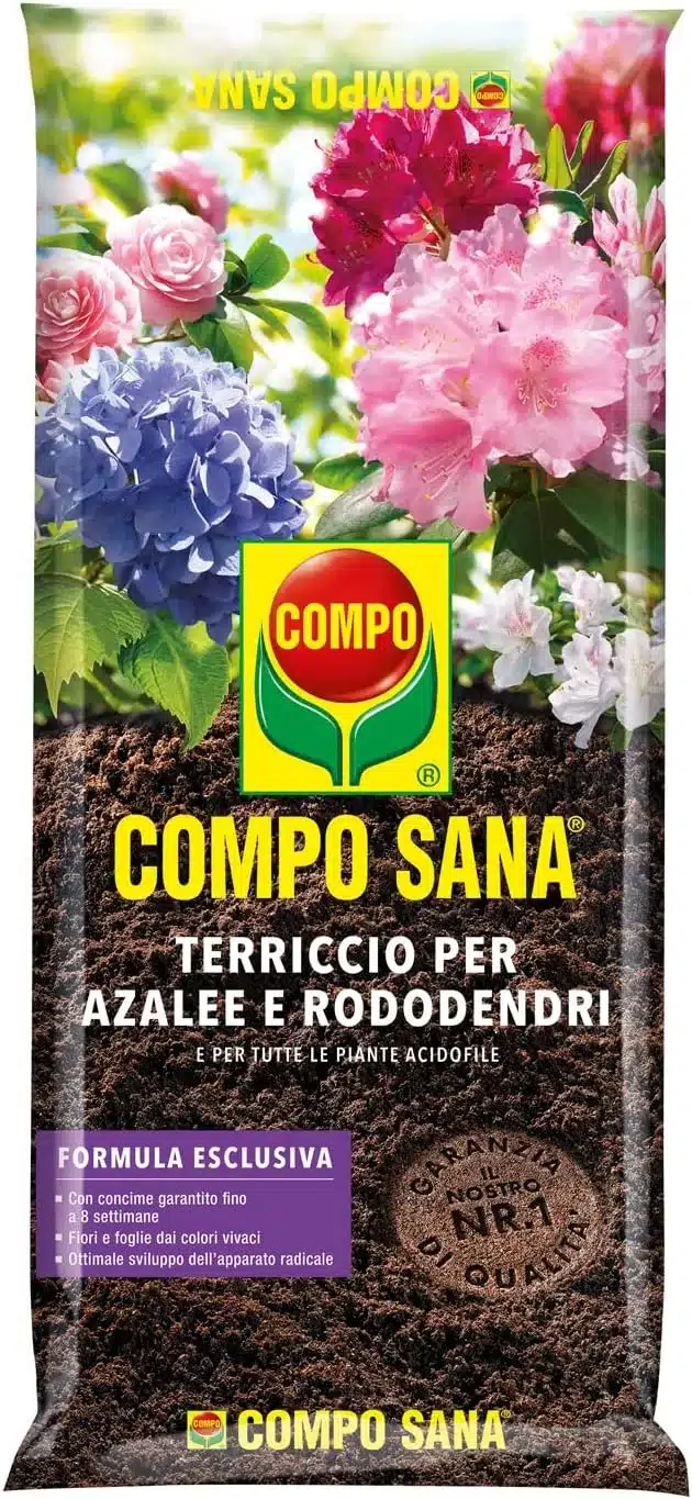Come far durare a lungo la Stella di Natale 6 terriccio acidofile