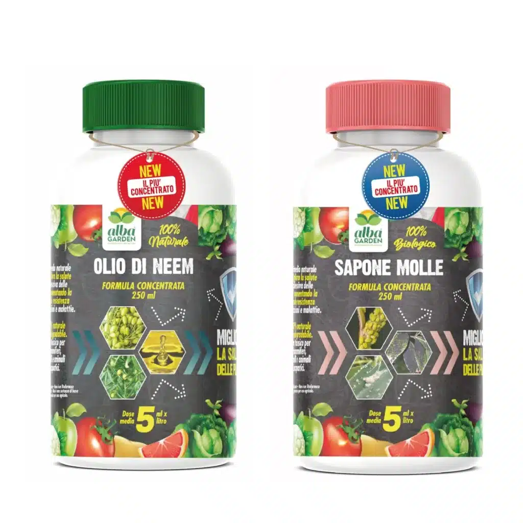 Stop ai parassiti dell'orto! Ricette e consigli per preparare macerati contro gli insetti dannosi! 10 Olio di Neem + sapone molle potassico