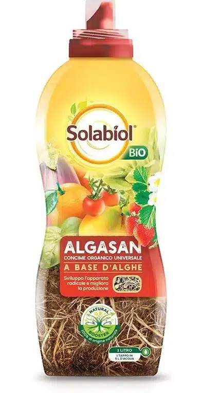 Concime biologico Solabiol Algasan. Come si usa! 3 Solabiol Algasan 1 1