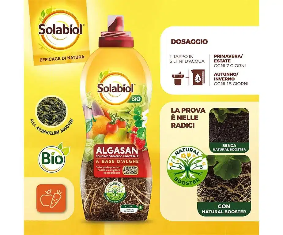 Concime biologico Solabiol Algasan. Come si usa! 2 Solabiol Algasan 3