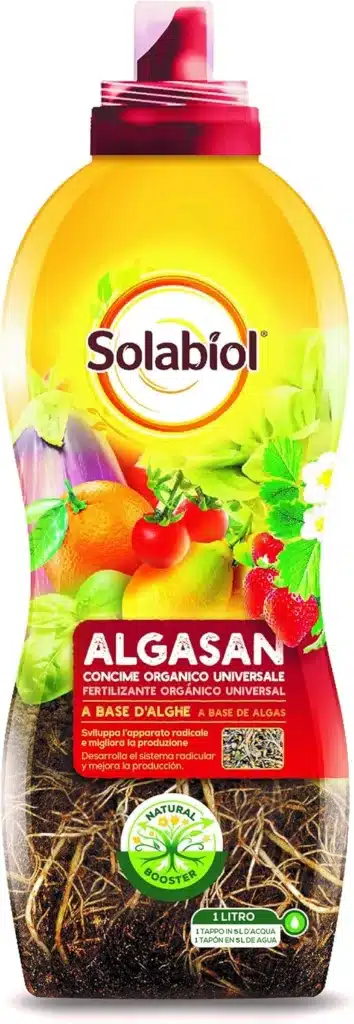 Quando ripicchettare le piantine: guida completa al trapianto! 7 Solabiol Algasan